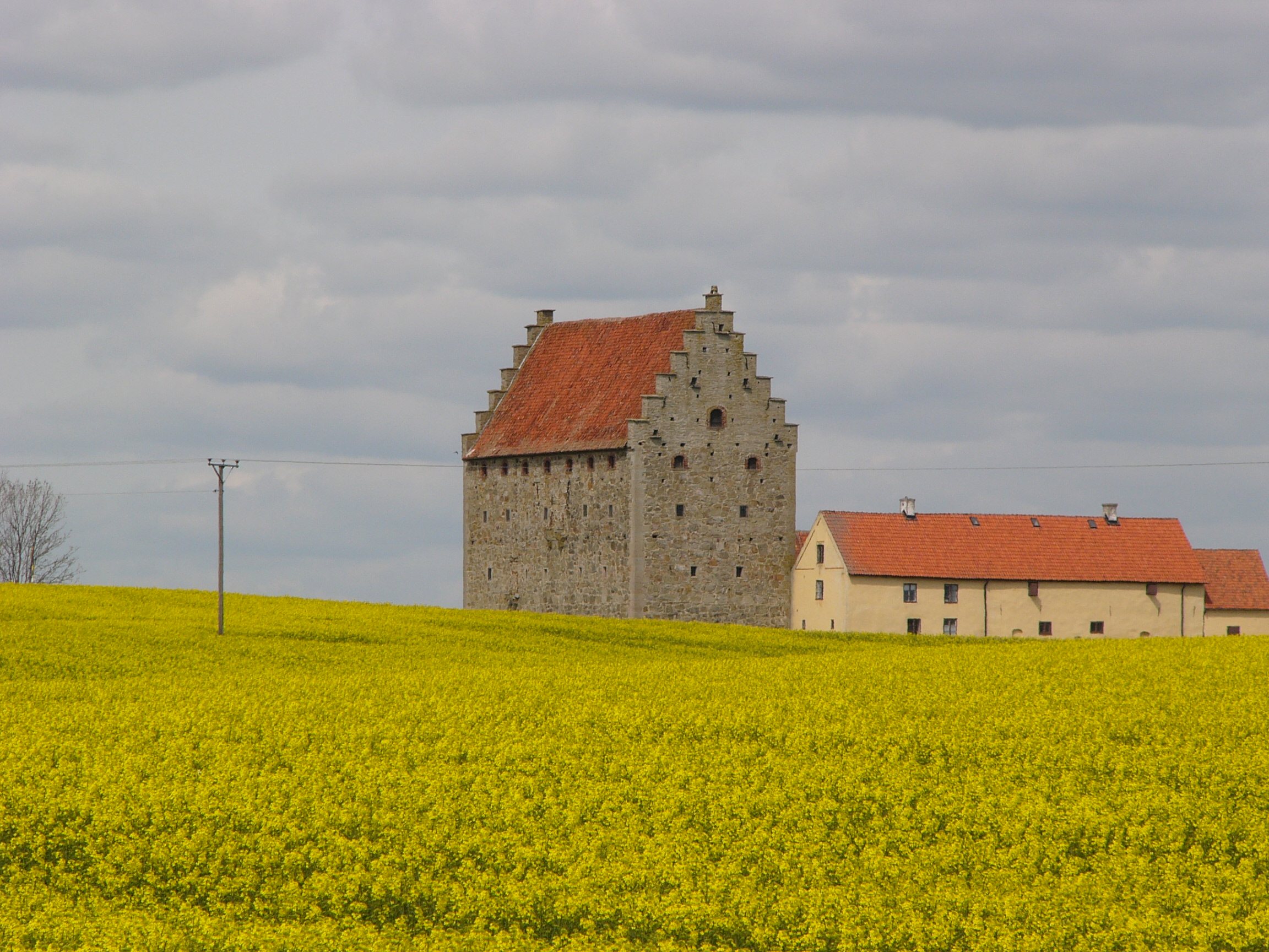 The castle and one of the lhouses can be seen in the distance from a rape field. Both buildings have red roof tiles. The castle has gray stone walls and the house has peach-colored lime plaster. The sky is slightly cloudy