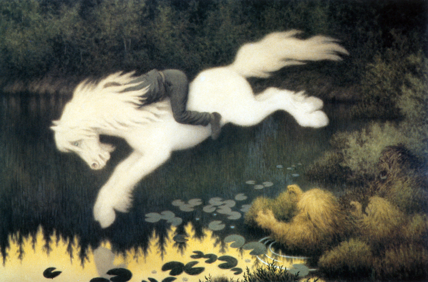 En vit häst dyker i vattnet med en person på ryggen.