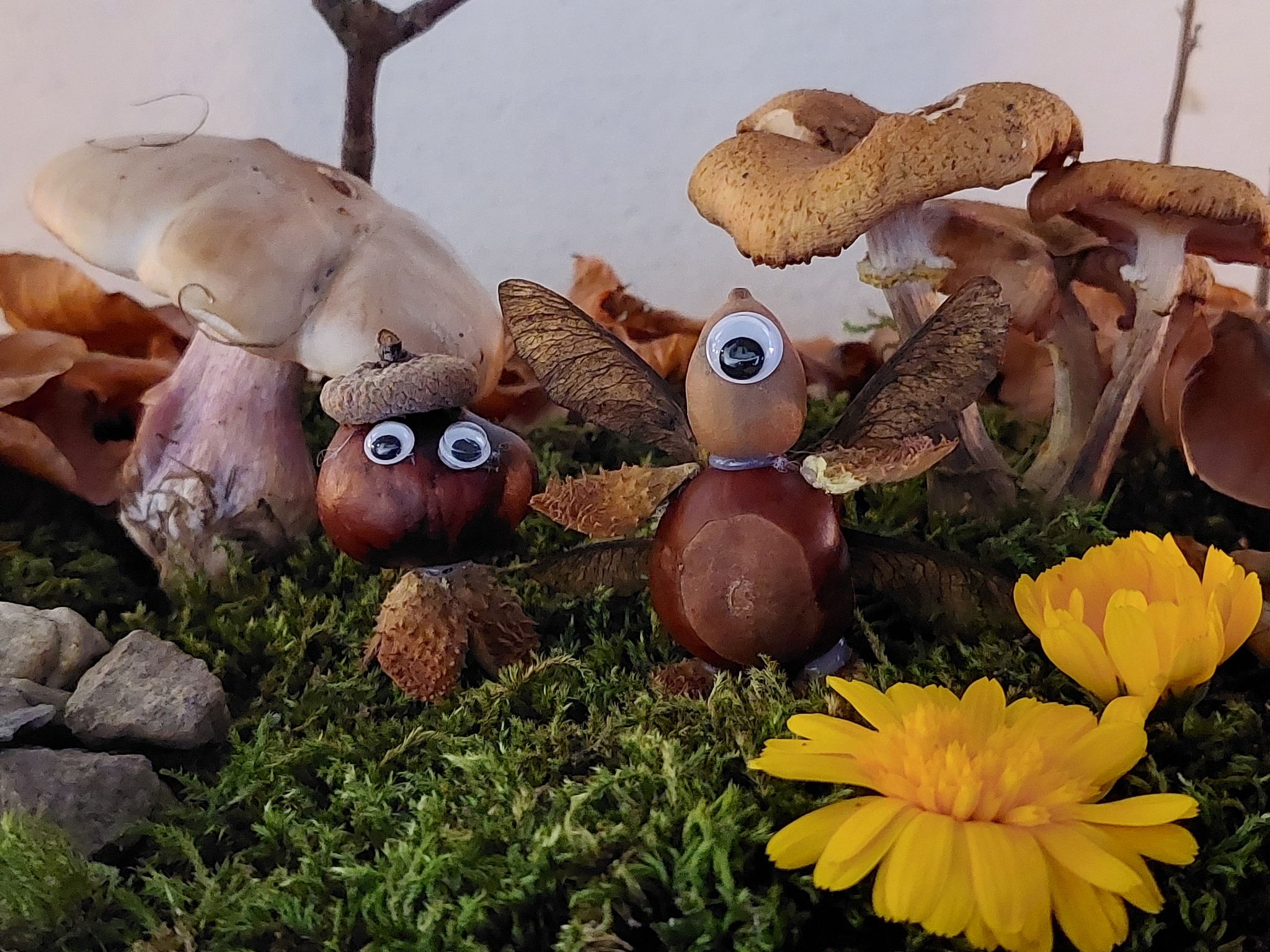 Bilden visar en samling väsenfigurer av naturmaterial.