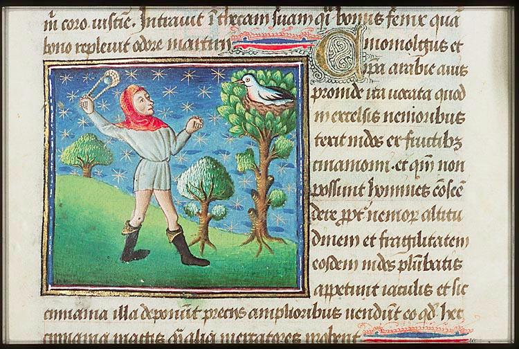 En man med slunga siktar på en fågel i ett träd.